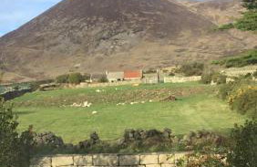 Binnian Gateway - Photo 19