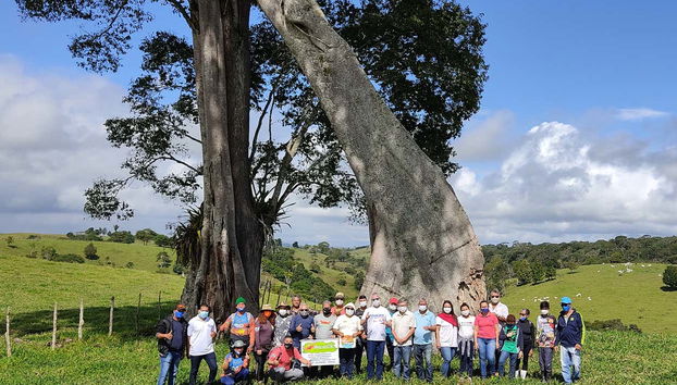 Posando junto a los árboles de Braçadeira