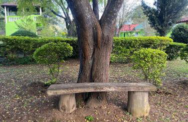 RECANTO FLORES DA MONTANHA- via fácil ASFALTO, VISTA das Montanhas - Foto 11