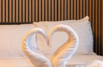Downtown Studio 1 - Harrogate Town Centre - Photo 11