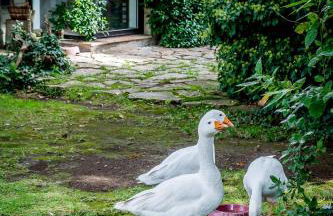 La Casa Degli Elfi - Foto 9