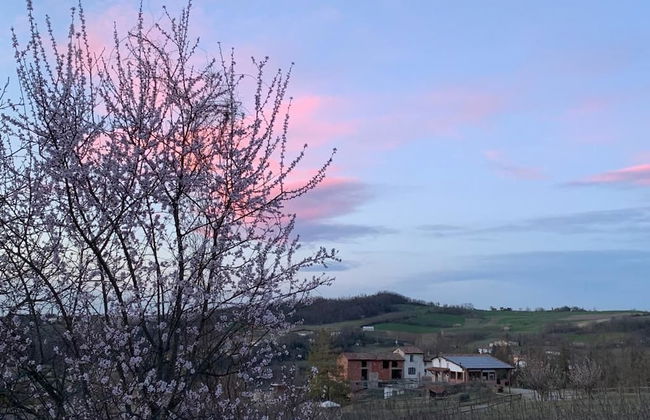 Tenuta di Cascina Diavolo dei Boschi - Foto 37