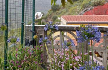 Casa cueva El Balcón del Cortijo - Foto 22