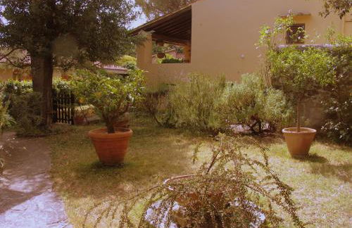 The Colours Of Chianti - Foto 15