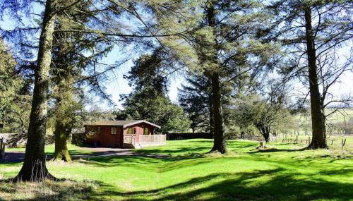 Secluded Pine Lodge 2 - Foto 1