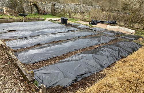 Beautiful Listed Mansion with incredible woodland views - Photo 23