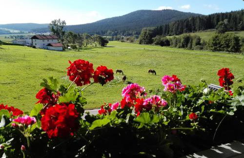 Ferienwohnung Dachs - Foto 22