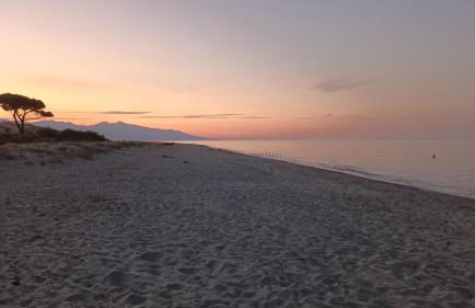Maison à 200m de la mer, 10 mn de l'aéroport de Bastia et a 20mn du port - Foto 1