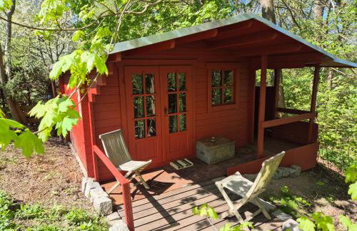 Glampinghütte Georgenthal - Foto 16