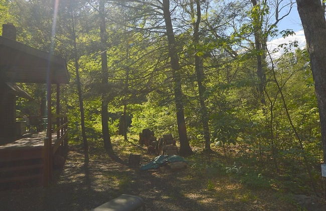 Rosies Creekside Retreat - 3 BR Escape! - Foto 52