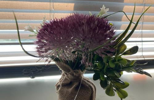 Studio Flat in Walsall with Option of Large Garden for Events - Foto 24