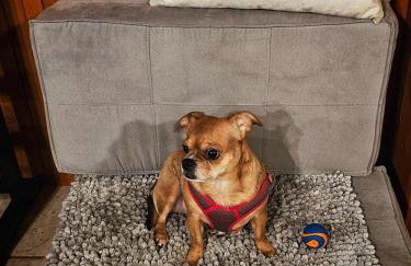 Whitehorse Mountain Retreat - Hot tub - Fireplace - Foto 27