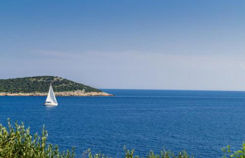 Apartment Goga Sevid - Foto 27