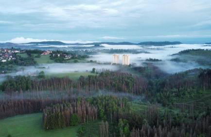 App 365 Panoramic Hohegeiß mit WLan - Foto 6