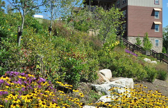 The Lodges at the Great Smoky Mountains - Foto 38