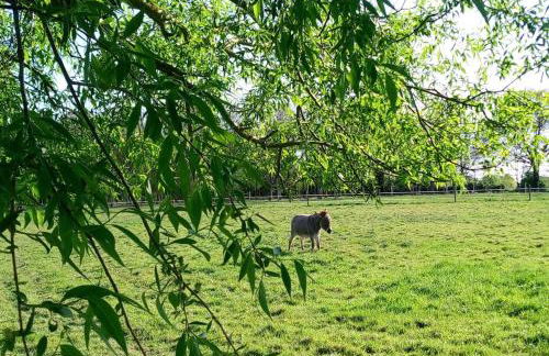 Les Clés Nature - Foto 17