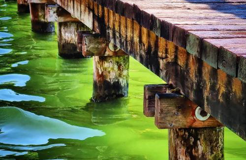 Osada Miłojeż - całoroczne Domy Premium w Borach Tucholskich, Jacuzzi pod gwiazdami - Foto 33