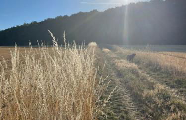 Luises Ferienglück - Foto 29