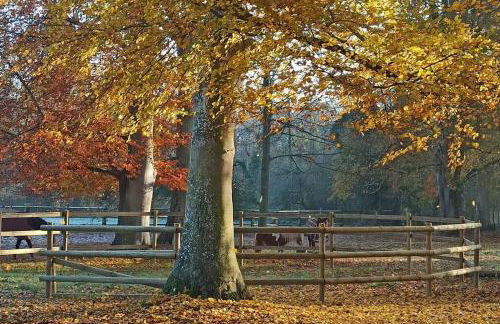 Domaine de Valmeray Gîte - Foto 11