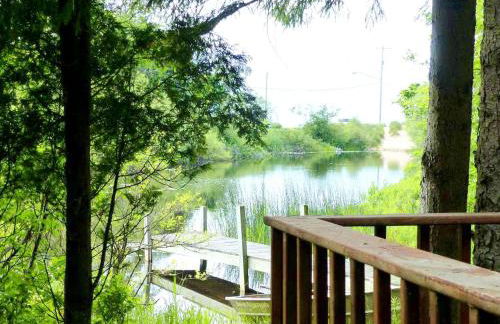 Rustic Cabin Rental on a Wildlife Sanctuary in Manistee, Michigan - Foto 16