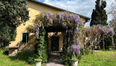 Villa in Valpolicella - Foto 3, Garden