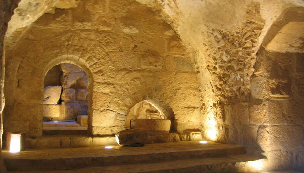 Excursion d'une journée complète à Jerash, Ajloun et Amman - Photo 5