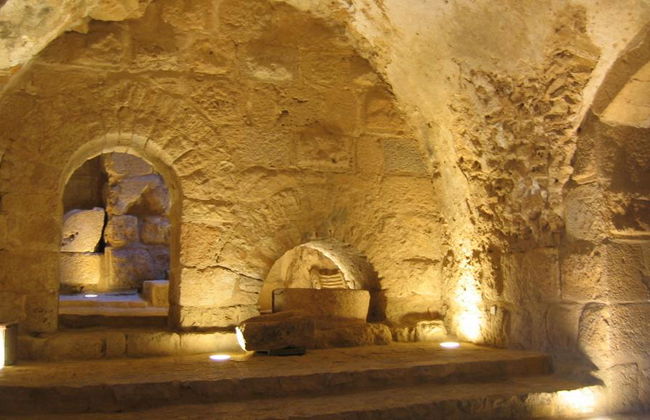 Jerash and Ajloun City Full-Day Tour - Photo 1