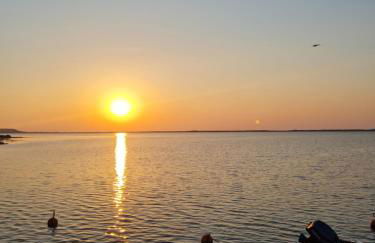 Paisible maison à l'ombre des pins - Foto 25