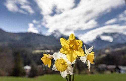 Bergbauernhof Schoberlehen - Foto 25