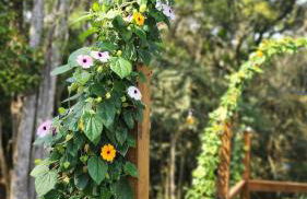 Linda Cabana com Vista Incrível nas Montanhas com Trilha, Cachoeira e Alexa - Photo 13