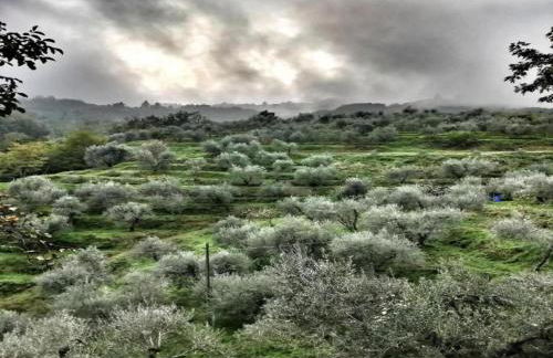 Chalet in Marliana Near Center - Foto 59