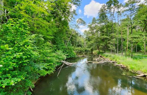 Villa Stare Osieczno - Foto 59