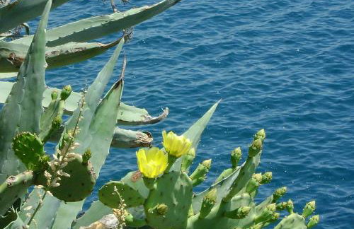 Apartment Veronica - Photo 23