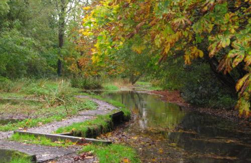 Charming family home on edge of South Downs - Foto 22