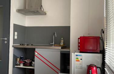 Logement type studio 1 piece proche zénith - Foto 9