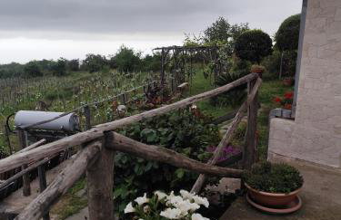 Villa Etna Masi' - Photo 61
