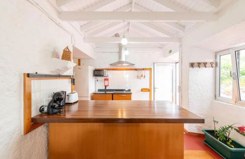 Lobo do Mar - Photo 10