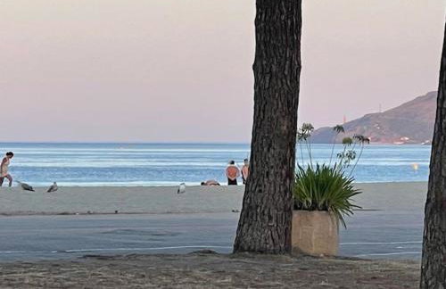 Entre Terre et Mer - Foto 26