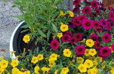 Casa Germana - Foto 24