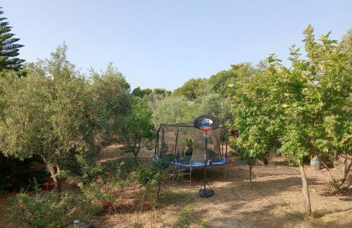 Green House Marathon - Greece - Foto 14