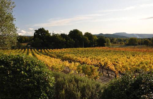 Maison Bijoux-de-Provence "Oliviers" - Foto 20