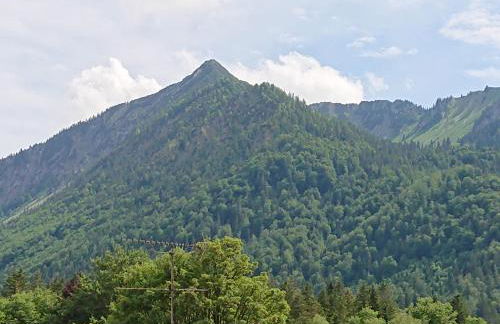 Haus-Brecherspitzblick - Foto 13