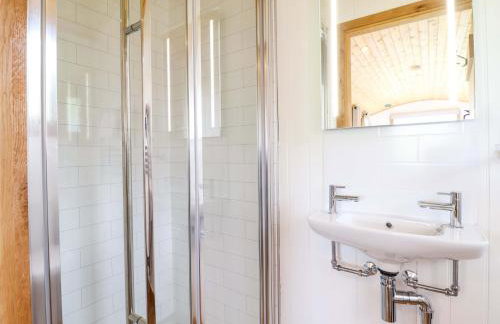 Defaid Cymreig - Foto 17