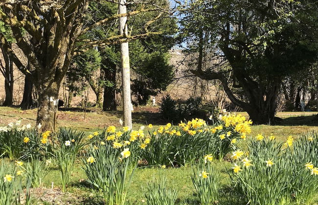 Kilchurn Suites - Photo 70