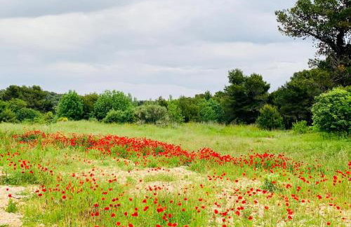 Apartment Alexandra - Foto 33