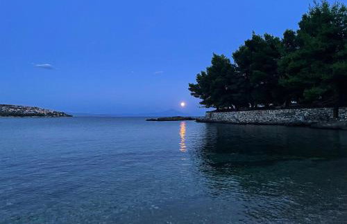 The Yellow Houses - Photo 40