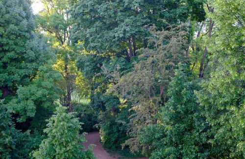 Schickes Apartment in Zwickau direkt am Römerplatz - Foto 17