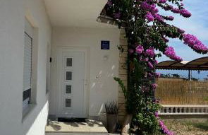 Green garden - Foto 6