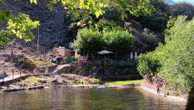 La Jelechera - Foto 2