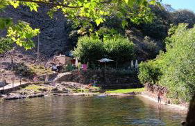 La Jelechera - Foto 2